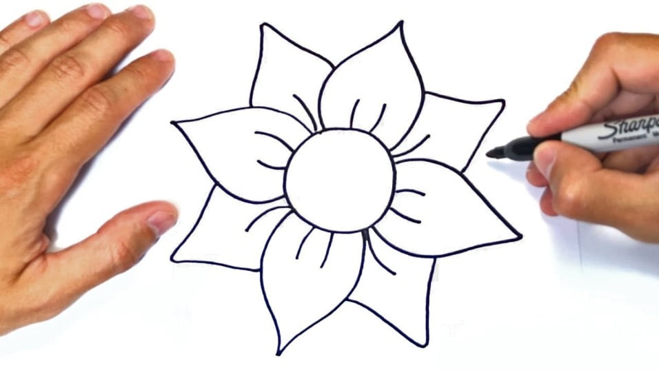 Draw a flower